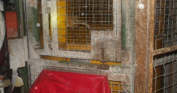 Coal worker hit by man cage