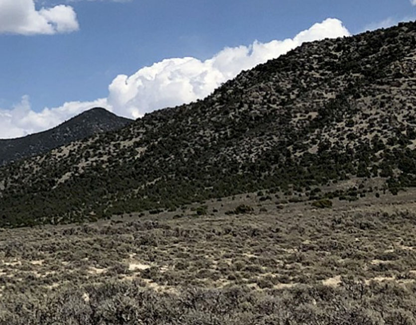 Gold Company Sparks Momentum With US$5M Raise in Idaho, Nevada