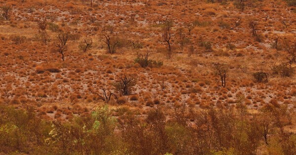 Rio Tinto picks MLG Oz to haul Western Turner Syncline ore