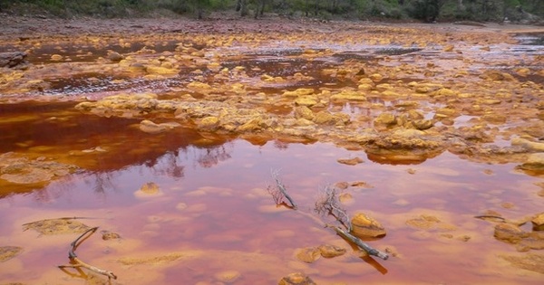 Algae an unlikely alternative for mine rehabilitation