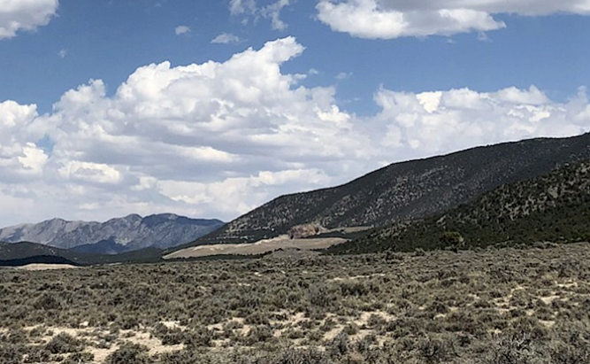 Junior Miner Discovers Massive Gold-Antimony Zones in Nevada
