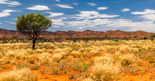 Abercromby ore waltzing to Matilda