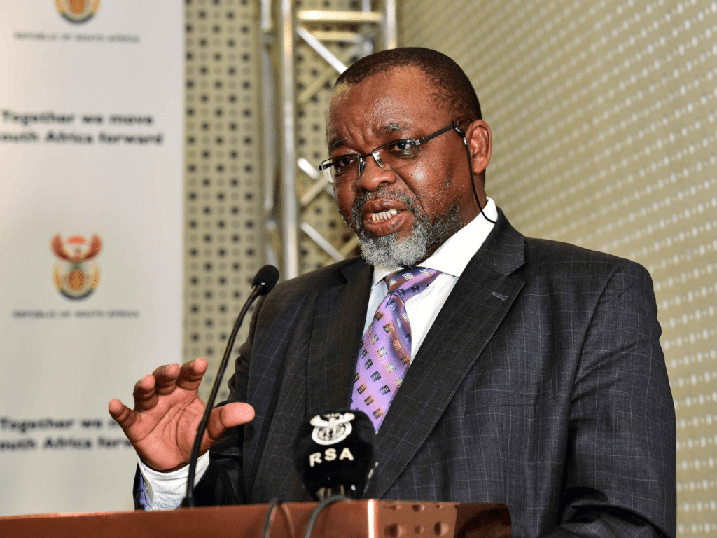 Ramaphosa appoints Mantashe as acting Police Minister