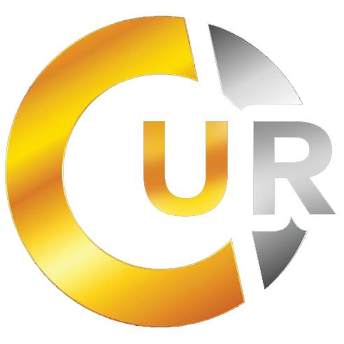 Pros and Cons of Cryptocurrency Mining Contract Investment vs. Personal Mining: Survey