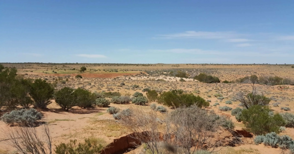 BHP has eyes for Altair’s ‘strategic’ Olympic Domain project