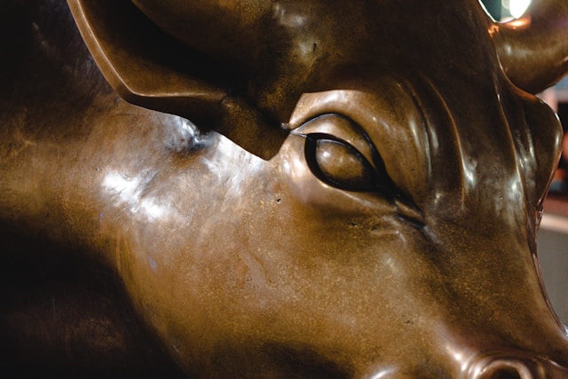 Junior Stock Investing: Managing Risks & Seeking Reward