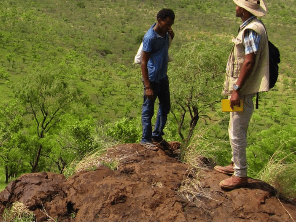 Restructuring boosts Akobo’ Ethiopia operations