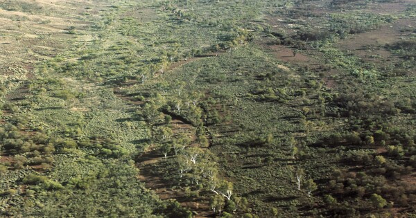 WA to develop local biofuels industry