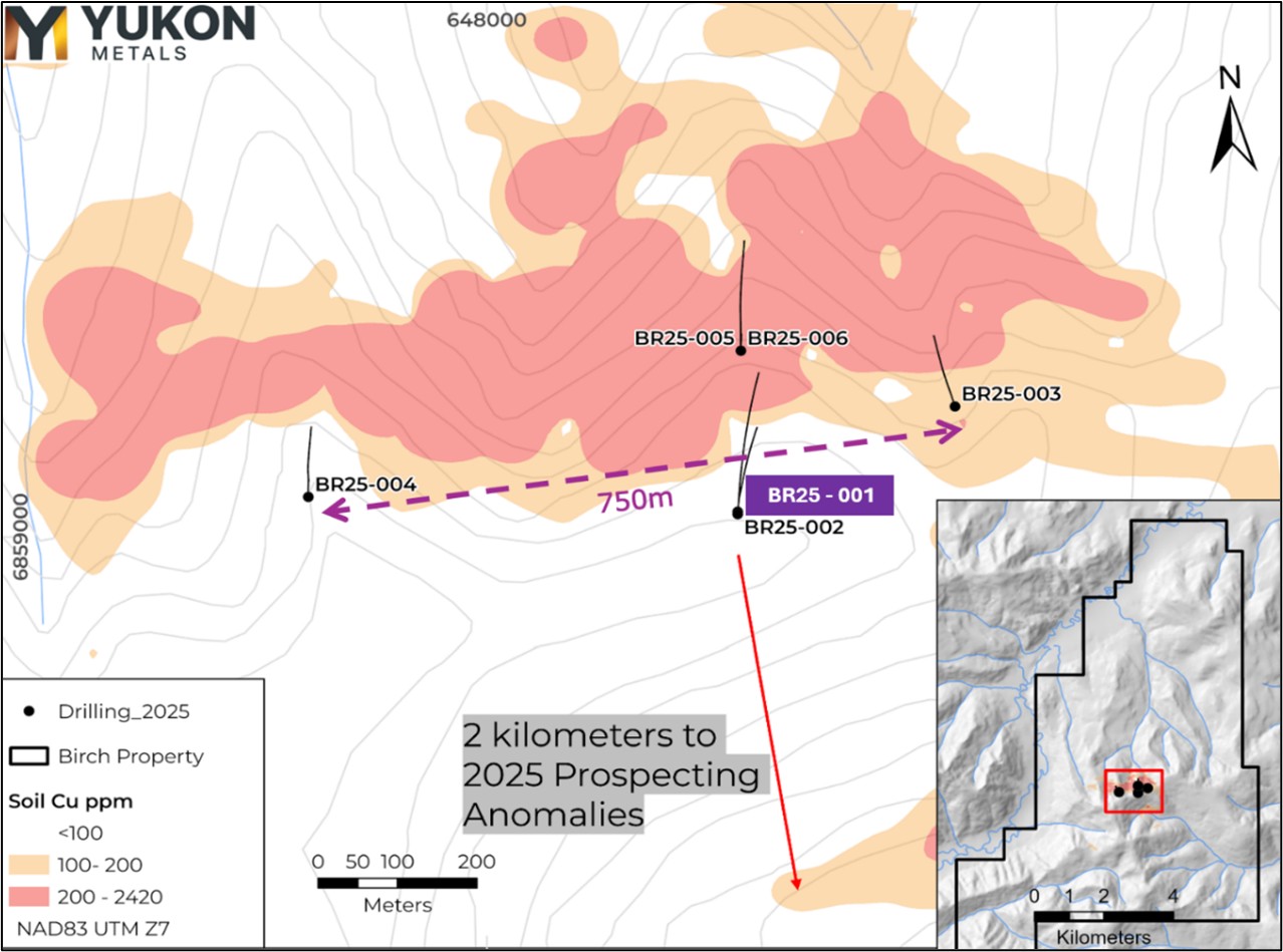First Drill Hole Confirms High-Grade Copper Skarn Mineralization at the Birch Project