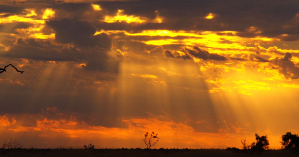 Rockfall on remote bogger knocks Pantoro’s gold output