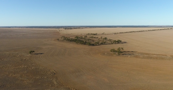 Andromeda settles Great White rehab bill