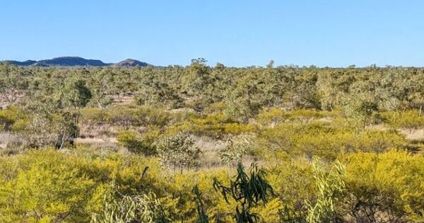 Harmony says yes to Eva