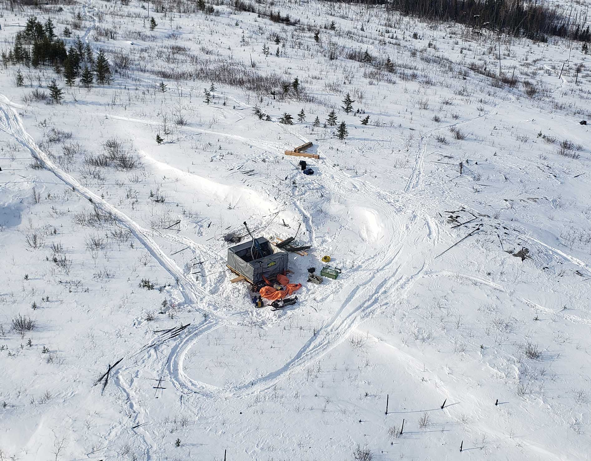 Trident Delivers. Trident Shines. Trident Amazes