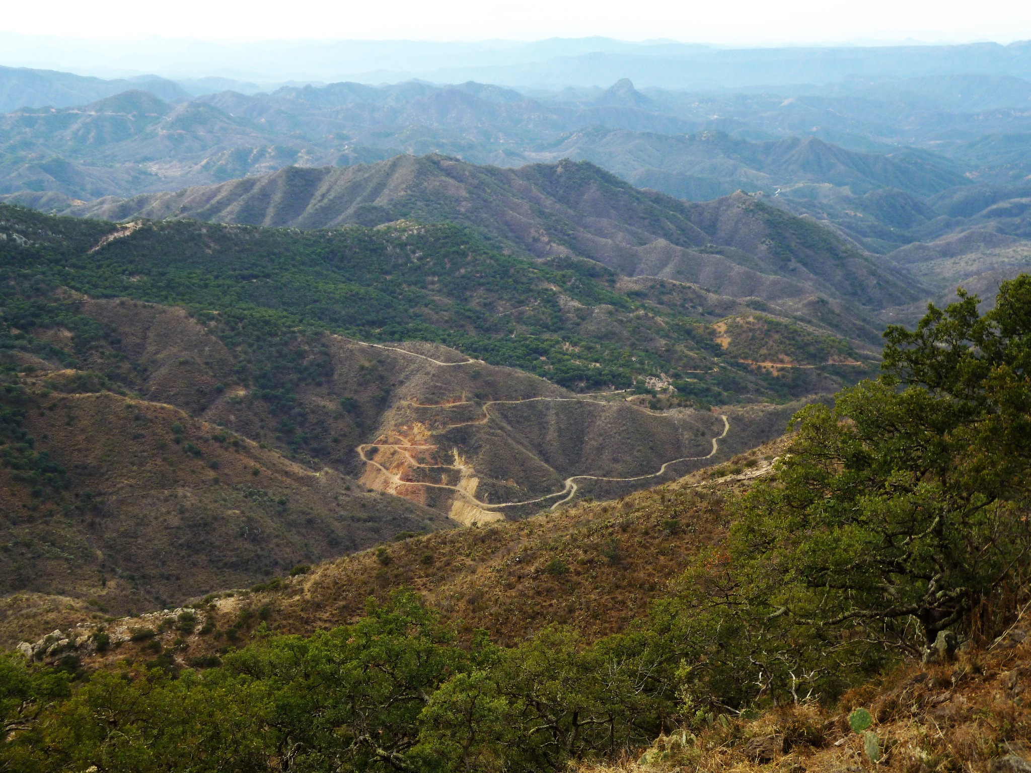 More Sulphide-Bearing Breccia Hit at Mexico Asset