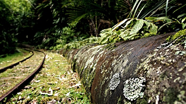 New Gold Structures, Big Grades, and Bigger Plans in Ontario's Next Mining District