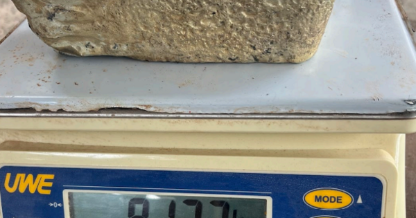 Savannah pours the doré at Georgetown