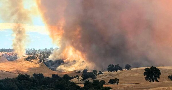 Newmont emerges unscathed from Boddington bushfire