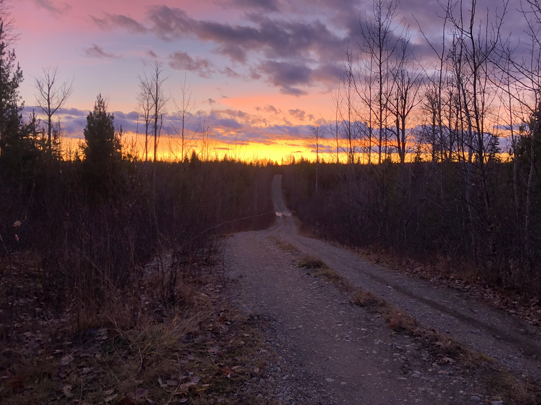 Resource Developer Drilling 7,500 Meters at Quesnelle's Halo Zonenullnullnull