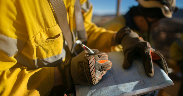 Embrace skilled migrants, says MCA