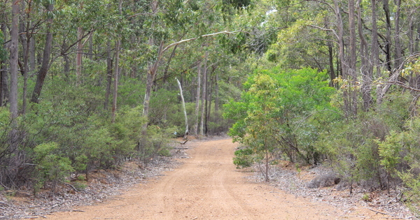 Alcoa fined $55M for unapproved WA forest clearing