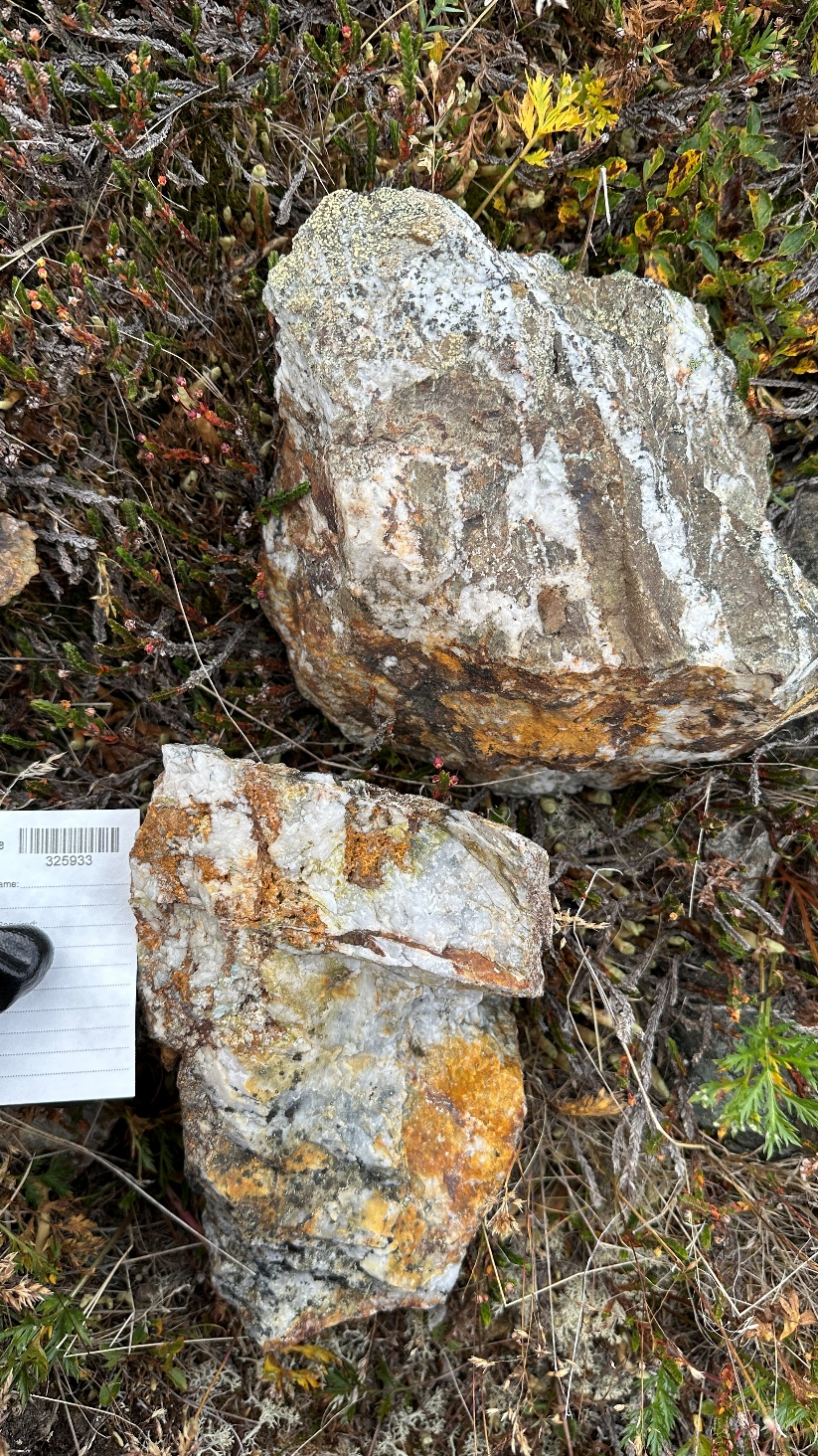 Yukon Metals Samples Up to 250 G/T Gold in Rock and Expands Land Position at Carter Gulch, Yukon