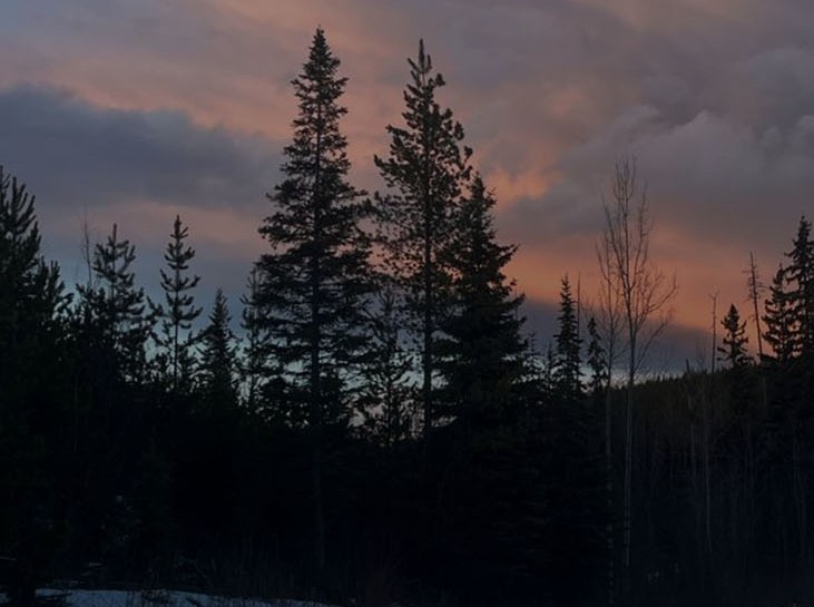 Junior Miner Targets 700% Potential Return in Cariboo District