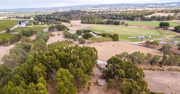 Terramin takes stock after Bird in Hand appeal thrown out